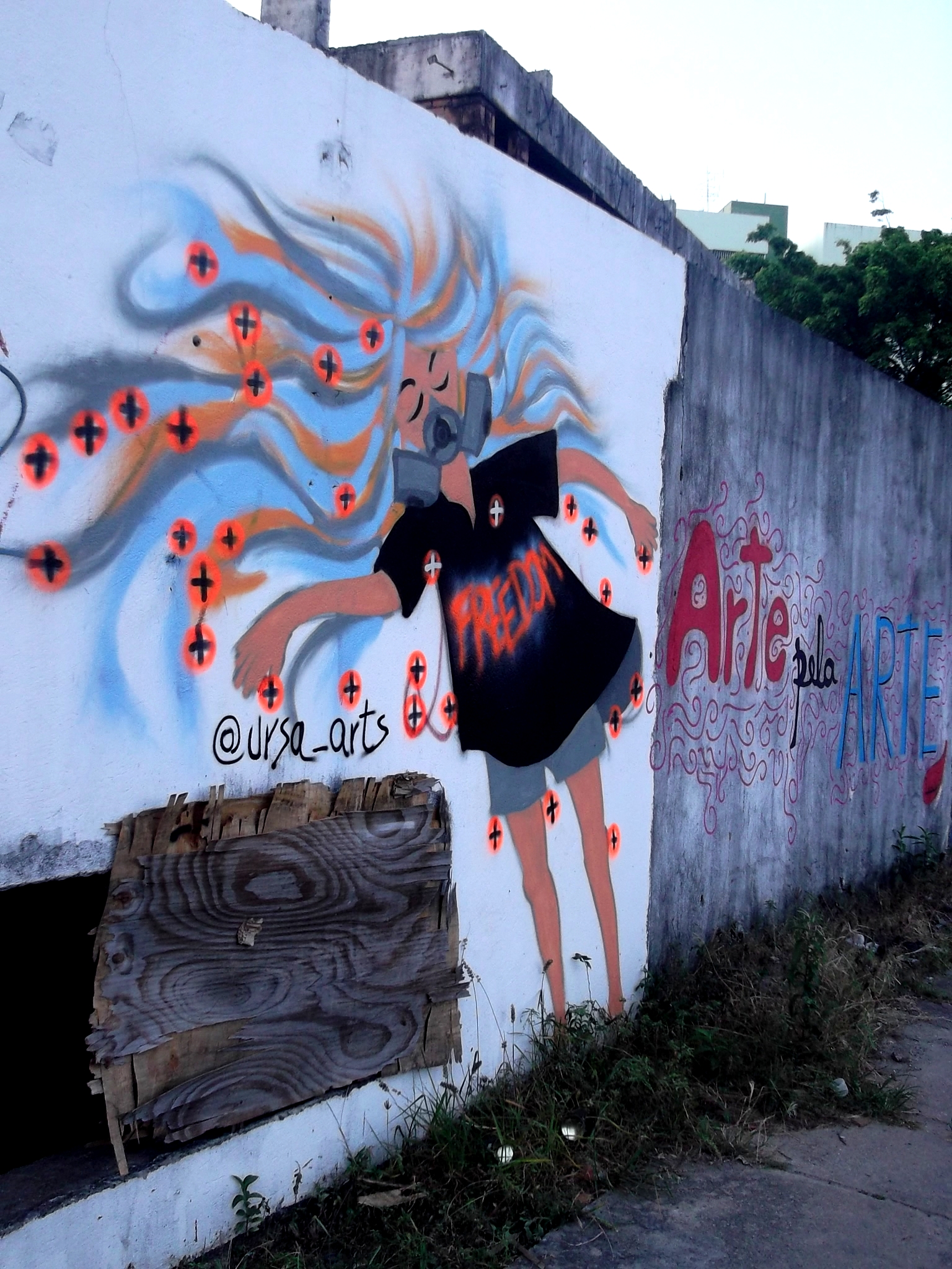 Os gritos grafitados de Ursa  