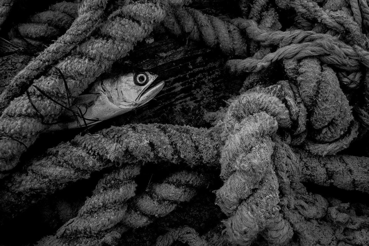 O cotidiano documental através das fotos de Edvaldo Vasconcelos e Deth Nascimento